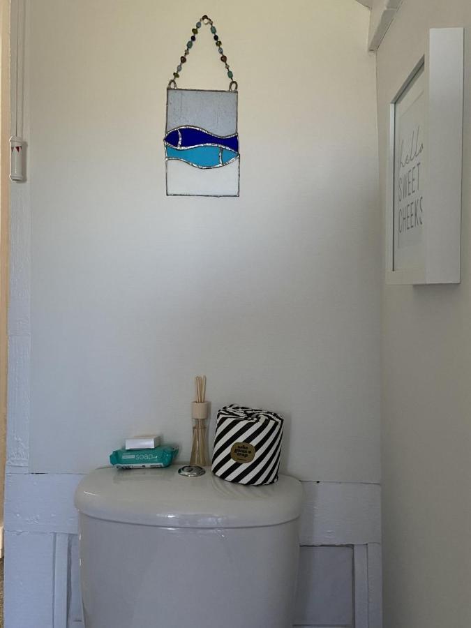 Dog Friendly Studio Flat Apartment Topsham Bagian luar foto