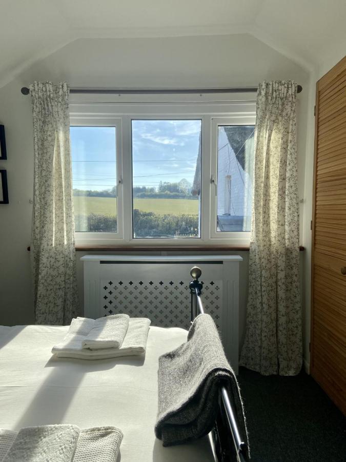 Dog Friendly Studio Flat Apartment Topsham Bagian luar foto