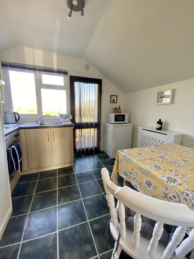 Dog Friendly Studio Flat Apartment Topsham Bagian luar foto