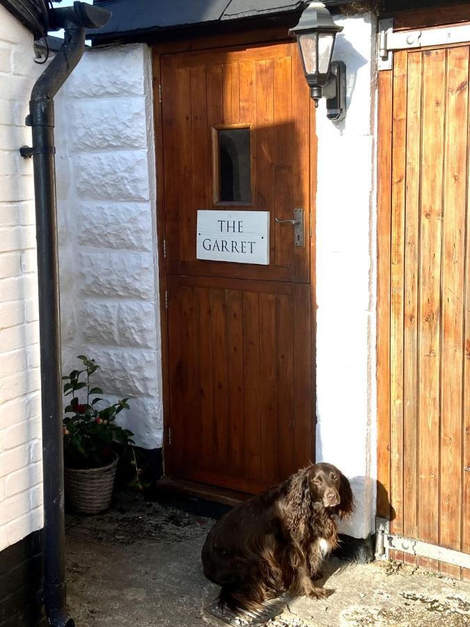 Dog Friendly Studio Flat Apartment Topsham Bagian luar foto