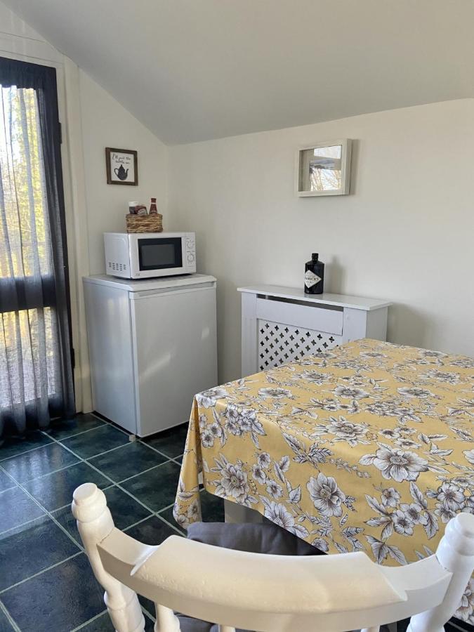 Dog Friendly Studio Flat Apartment Topsham Bagian luar foto
